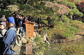 渡月橋
